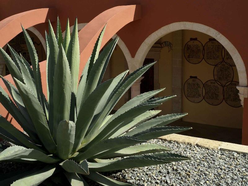 Ibis Aguascalientes Norte Eksteriør billede